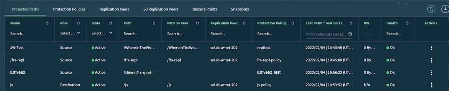 Vast Data Guide - Protected paths active screen